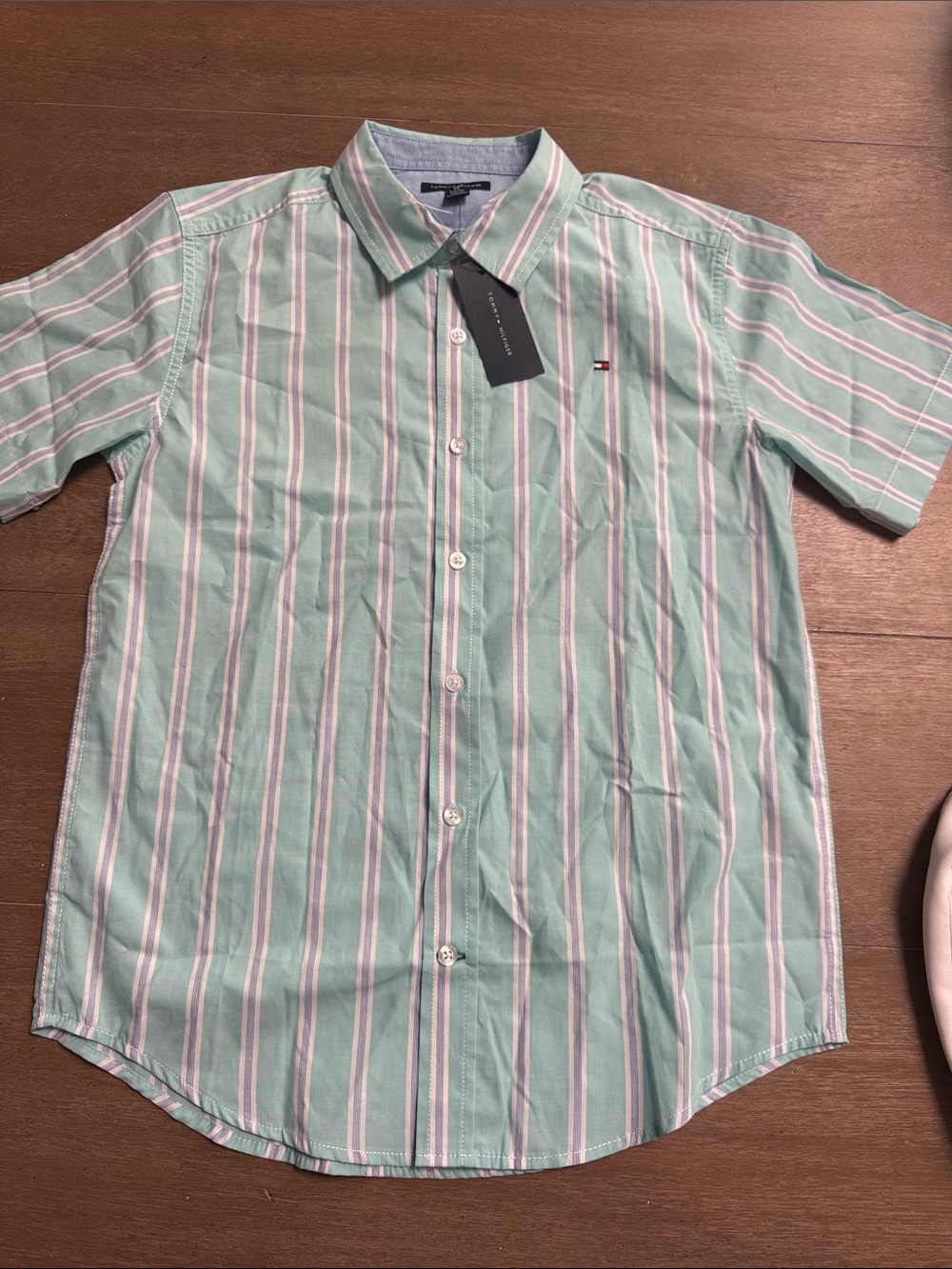 Tommy Hilfiger Mint Green Striped Short-Sleeve Button-Down Shirt